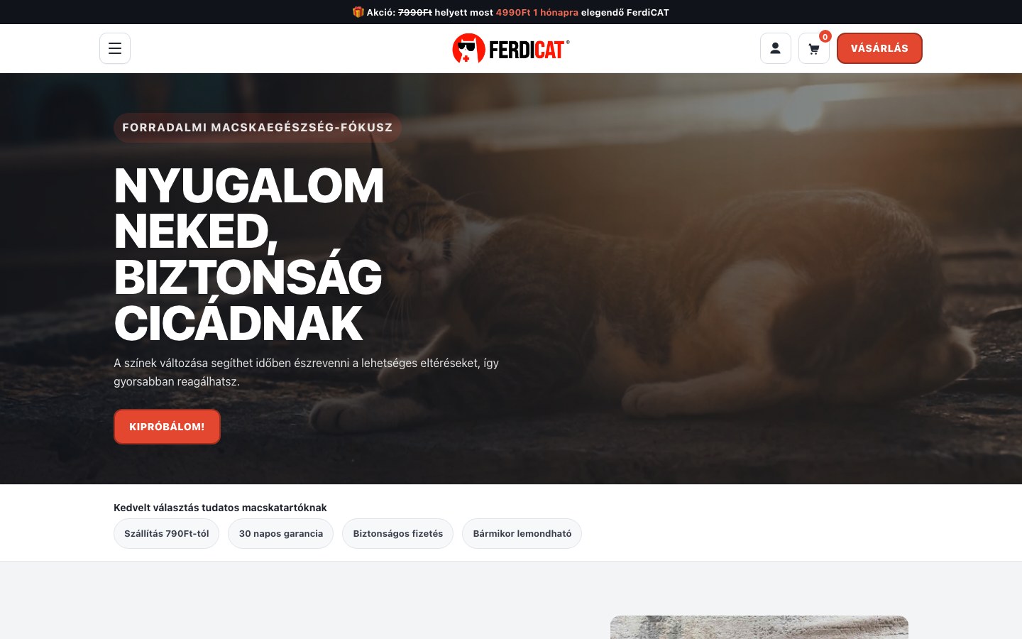 Ferdicat — Webshop és PPC egy kézben, konverzióra tervezve